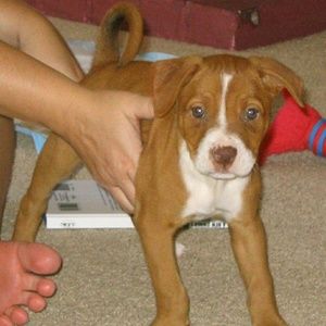 Meet your Posher, Daryl